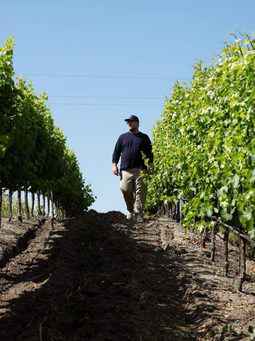 Interview de Dan Petroski - Vigneron - États-Unis, Napa Valley