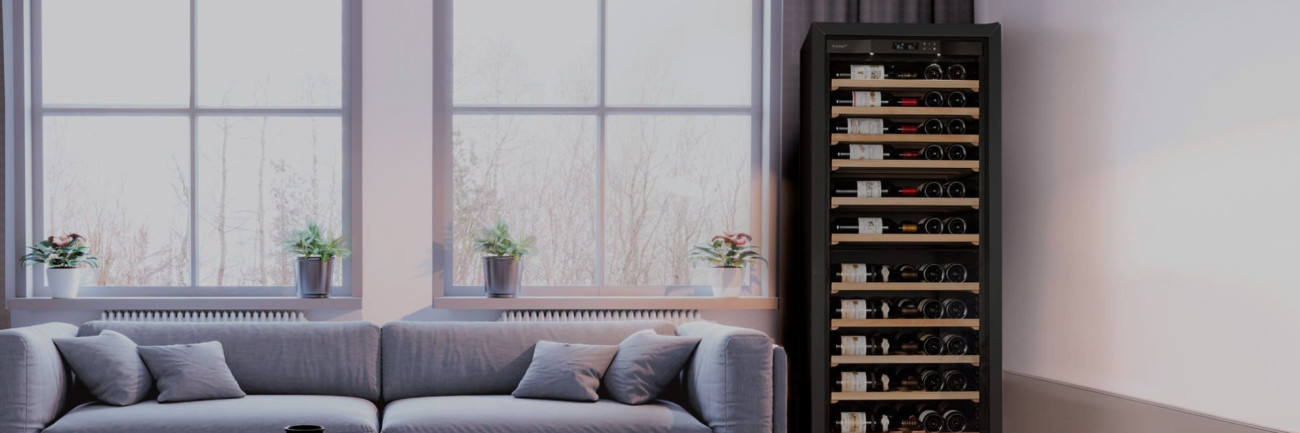 Des caves à vin premier prix aux caves à vin haute performance, on vous explique pourquoi les tarifs des armoires à vin varient autant.